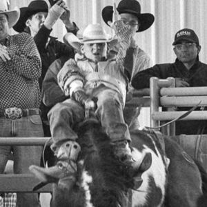 Meet your Posher, Dillon