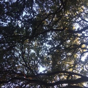 Meet your Posher, Aaron