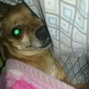 Meet your Posher, Marie