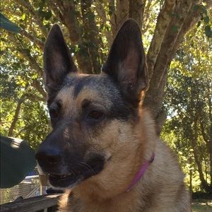 Meet your Posher, Faye