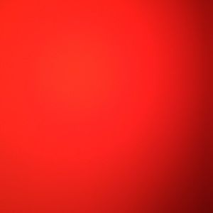 Meet your Posher, Josephine