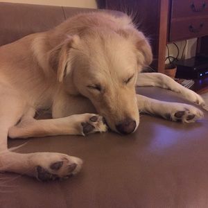 Meet your Posher, Marta