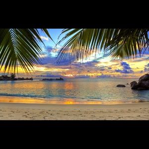 Meet your Posher, Cassie