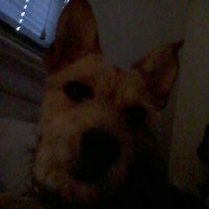 Meet your Posher, Jaclyn