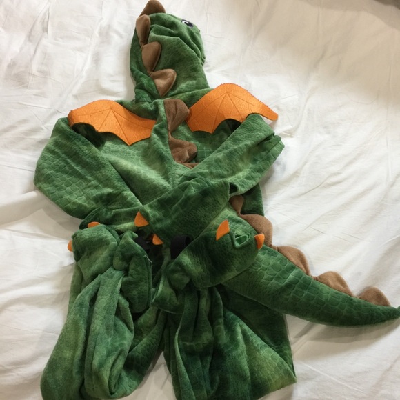 Koala baby Dragon Costume