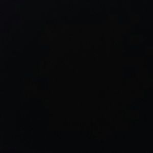 Meet your Posher, Priscilla