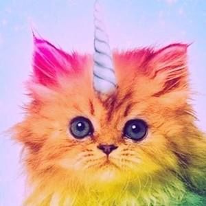 Meet your Posher, Candyce