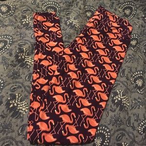 Lularoe is flamingo leggings!