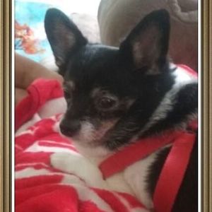 Meet your Posher, Melina