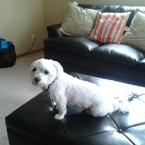 Meet your Posher, Noemi