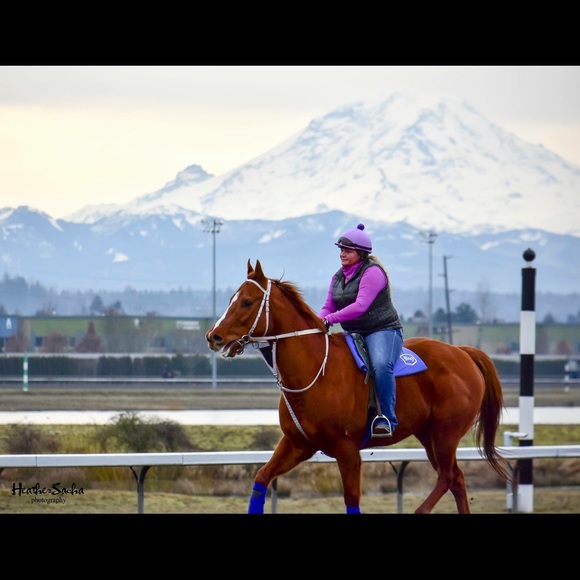 Meet your Posher, Kyrie - Picture 3 of 7