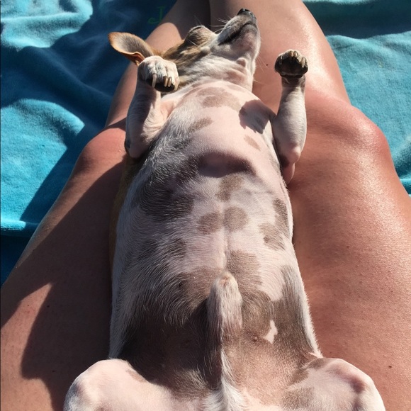 Meet your Posher, Kyrie - Picture 4 of 7