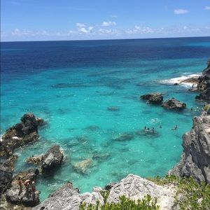 Meet your Posher, Arianna