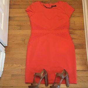Ellen Tracy Coral Dress