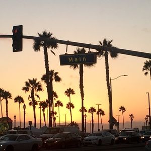 Meet your Posher, Misty