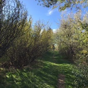 Meet your Posher, Kazlyn