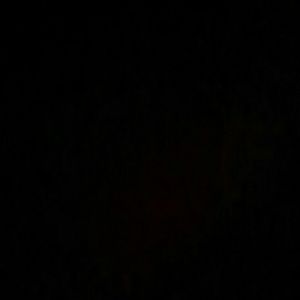 Meet your Posher, Ally