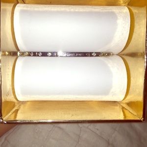 Michael Kors Signature Plaque Slender Bangle