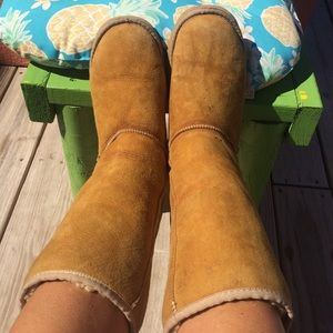 Uggs Chestnut