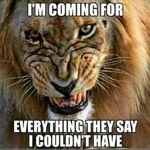 Meet your Posher, Paul