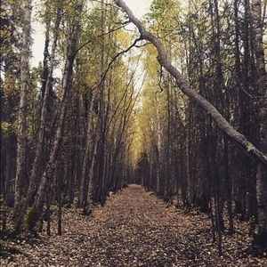 Meet your Posher, Lucy