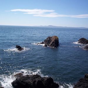 Meet your Posher, Annette