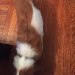 Meet your Posher, Smith