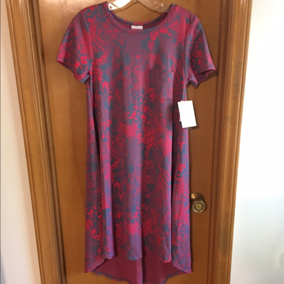 BNWT LuLaRoe Carly XXS