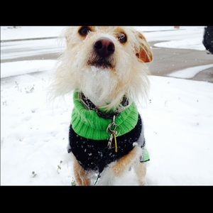 Meet your Posher, Ireland