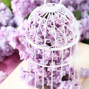 Meet your Posher, Jocelyn