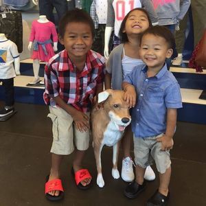 Meet your Posher, Larry stephany