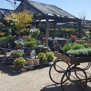 Meet your Posher, Wanda