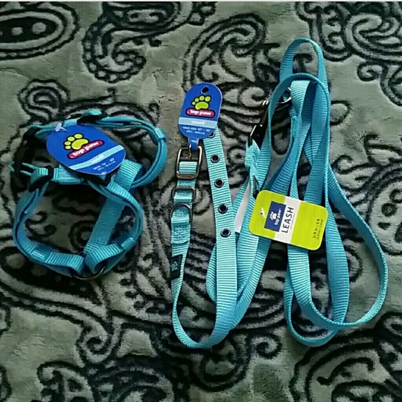 Sm NWT dog collar,harness, and leash combo!