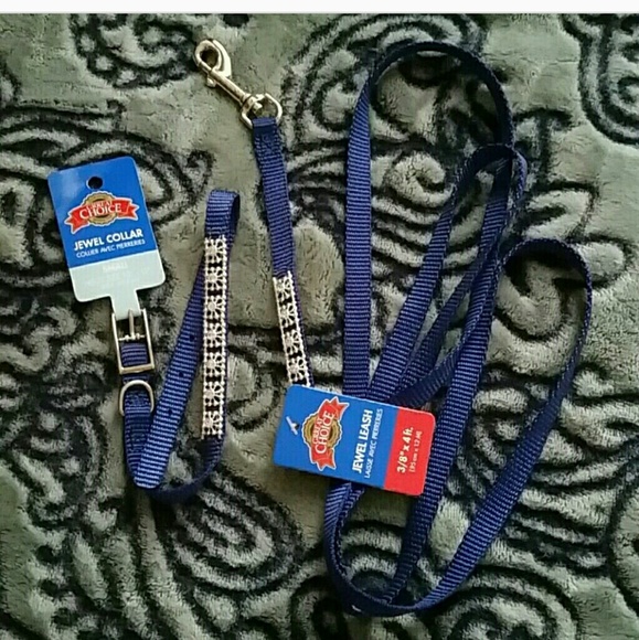 SM NWT jeweled dog collar & leash combo!