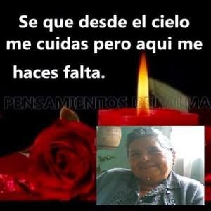 Meet your Posher, José rafael