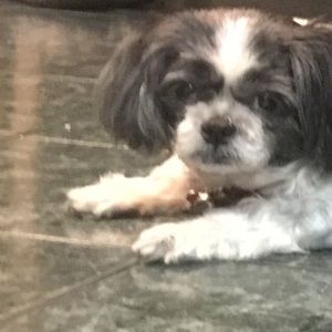 Meet your Posher, Maryann