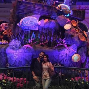 Meet your Posher, Alex