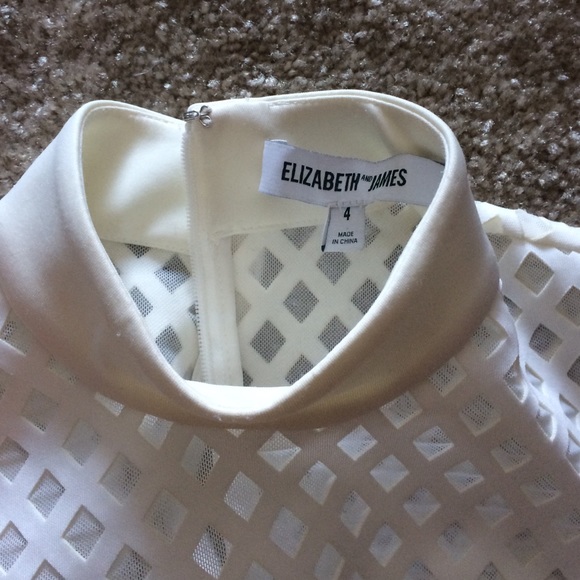 Elizabeth & James mesh bodycon dress - Picture 2 of 3