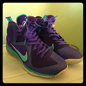 Nike LeBron 9 hornets