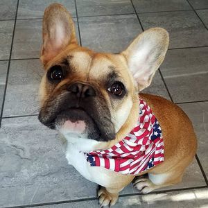 Meet your Posher, Leann