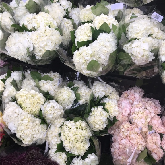 Meet your Posher, Jane