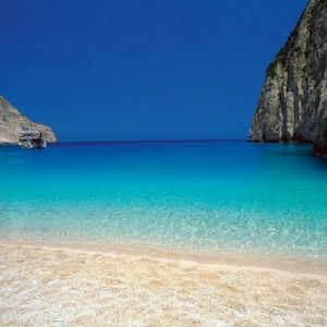 Meet your Posher, Lily