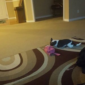 Meet your Posher, Cindy