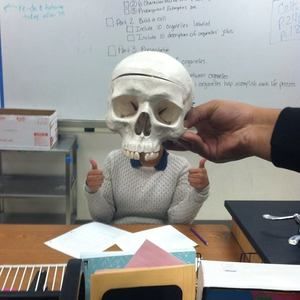 Meet your Posher, Barbara