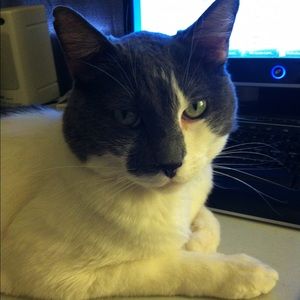 Meet your Posher, Amy