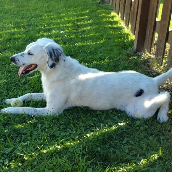 Meet your Posher, Maggie
