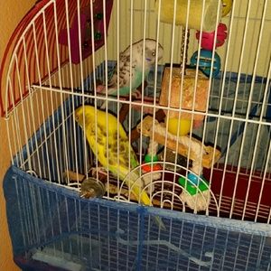 Meet your Posher, Andersen