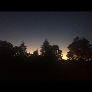 Meet your Posher, Mercy