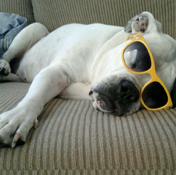 Meet your Posher - Picture 3 of 7