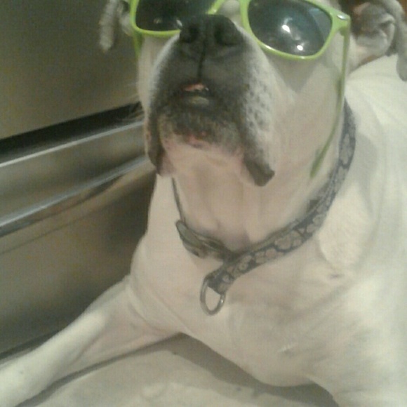 Meet your Posher - Picture 4 of 7